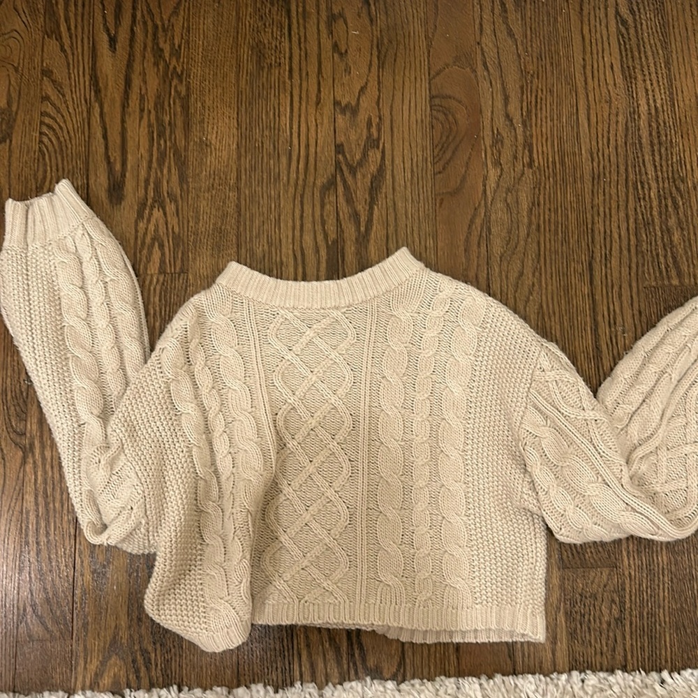 H&M Divided Cropped Sweater